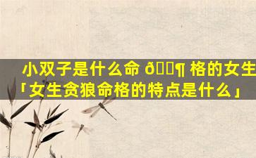 小双子是什么命 🐶 格的女生「女生贪狼命格的特点是什么」